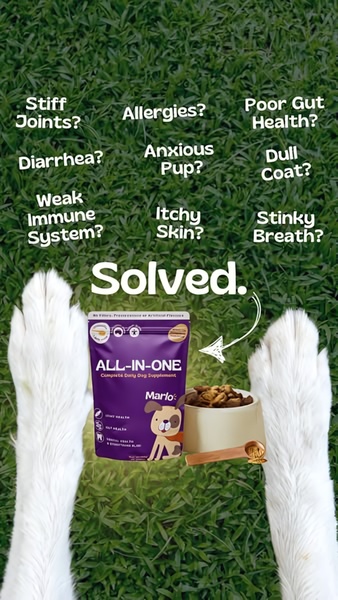 A vertical-ratio graphic presenting a list of common canine health issues followed by a clear, singular brand solution.